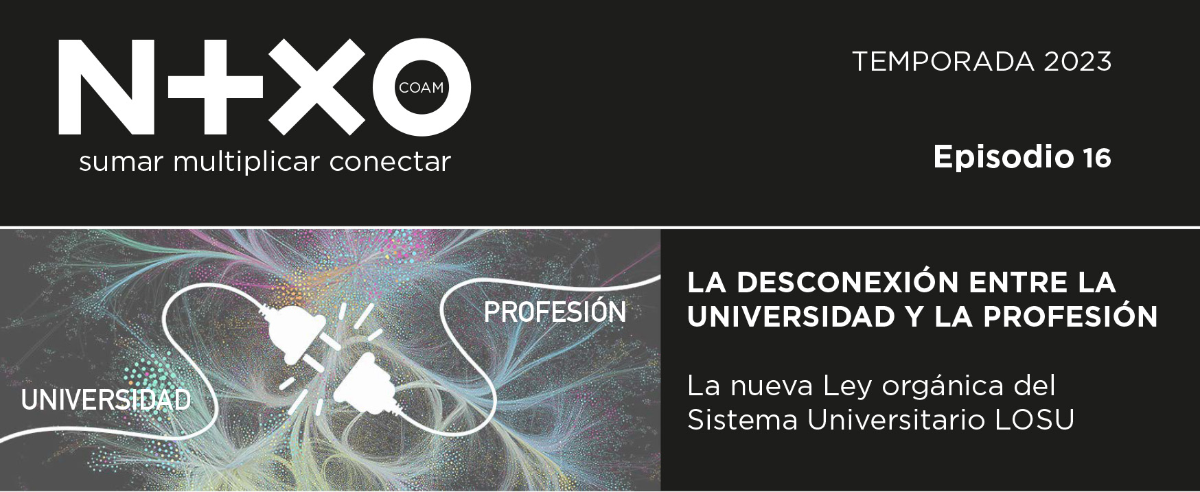 Episodio 16 LA DESCONEXIÓN ENTRE LA UNIVERSIDAD Y LA PROFESIÓN. NEXOCOAM